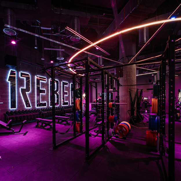 BeaverFit Bespoke Rigs and Racks 1 Rebel